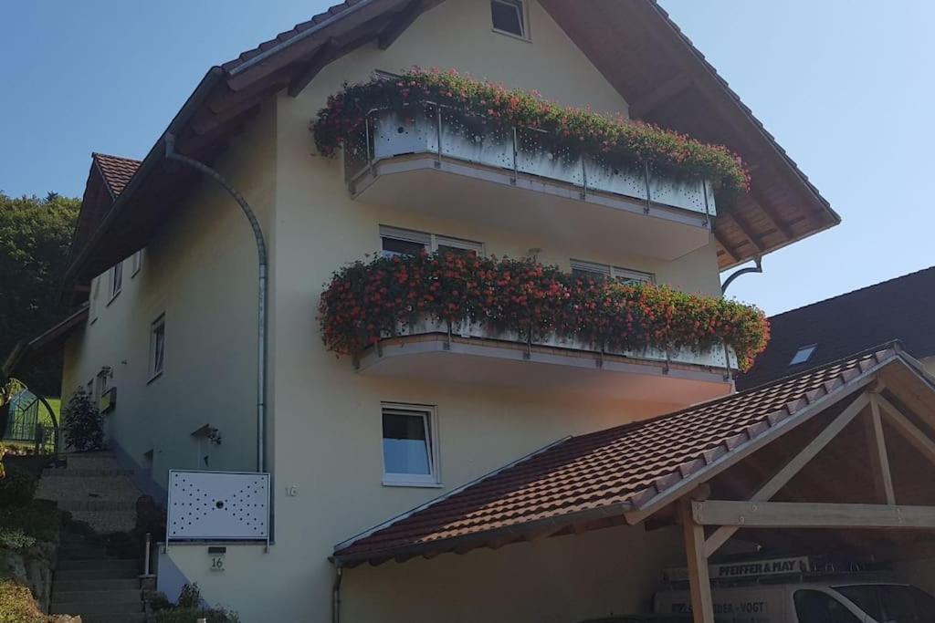 Ferienwohnung Talblick Im Schwarzwald Seelbach  Zewnętrze zdjęcie