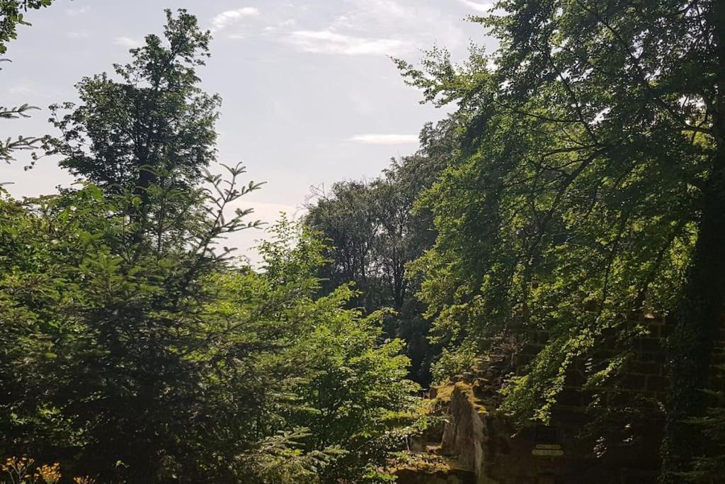 Ferienwohnung Talblick Im Schwarzwald Seelbach  Zewnętrze zdjęcie
