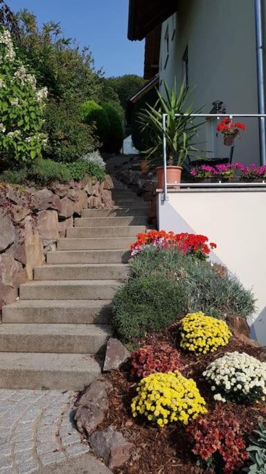Ferienwohnung Talblick Im Schwarzwald Seelbach  Zewnętrze zdjęcie
