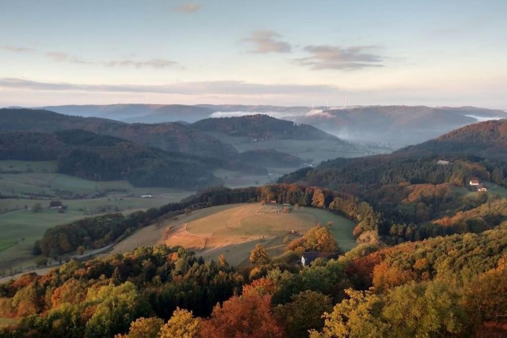 Ferienwohnung Talblick Im Schwarzwald Seelbach  Zewnętrze zdjęcie