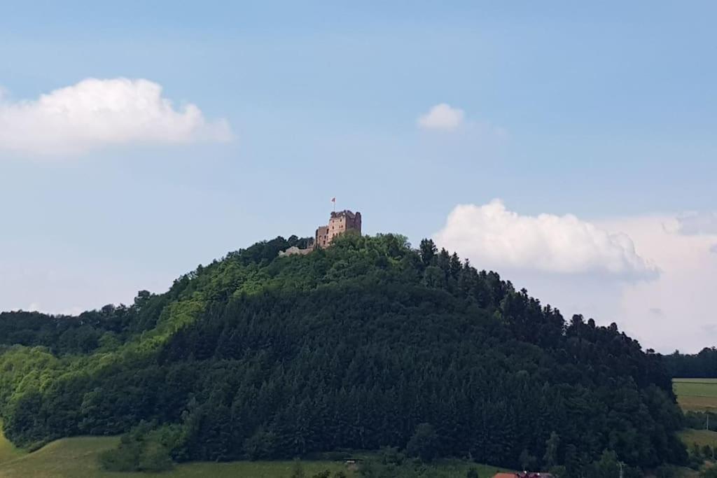 Ferienwohnung Talblick Im Schwarzwald Seelbach  Zewnętrze zdjęcie
