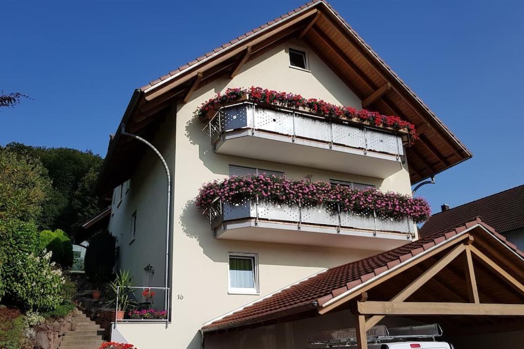 Ferienwohnung Talblick Im Schwarzwald Seelbach  Zewnętrze zdjęcie