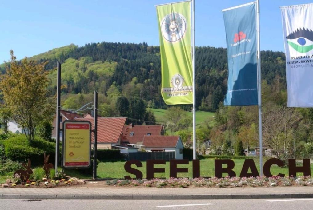 Ferienwohnung Talblick Im Schwarzwald Seelbach  Zewnętrze zdjęcie