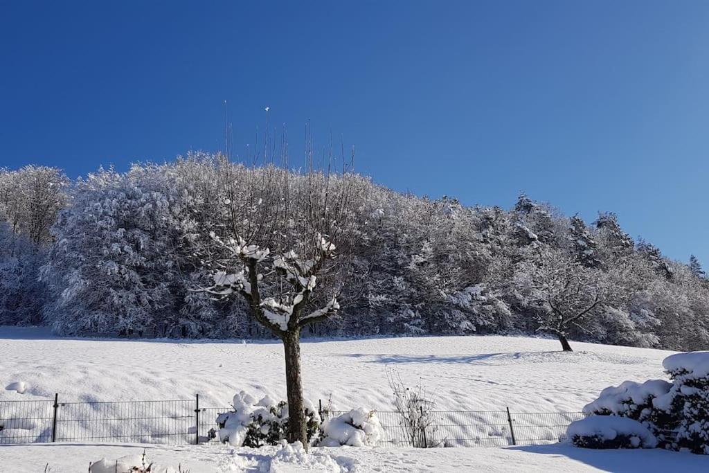 Ferienwohnung Talblick Im Schwarzwald Seelbach  Zewnętrze zdjęcie