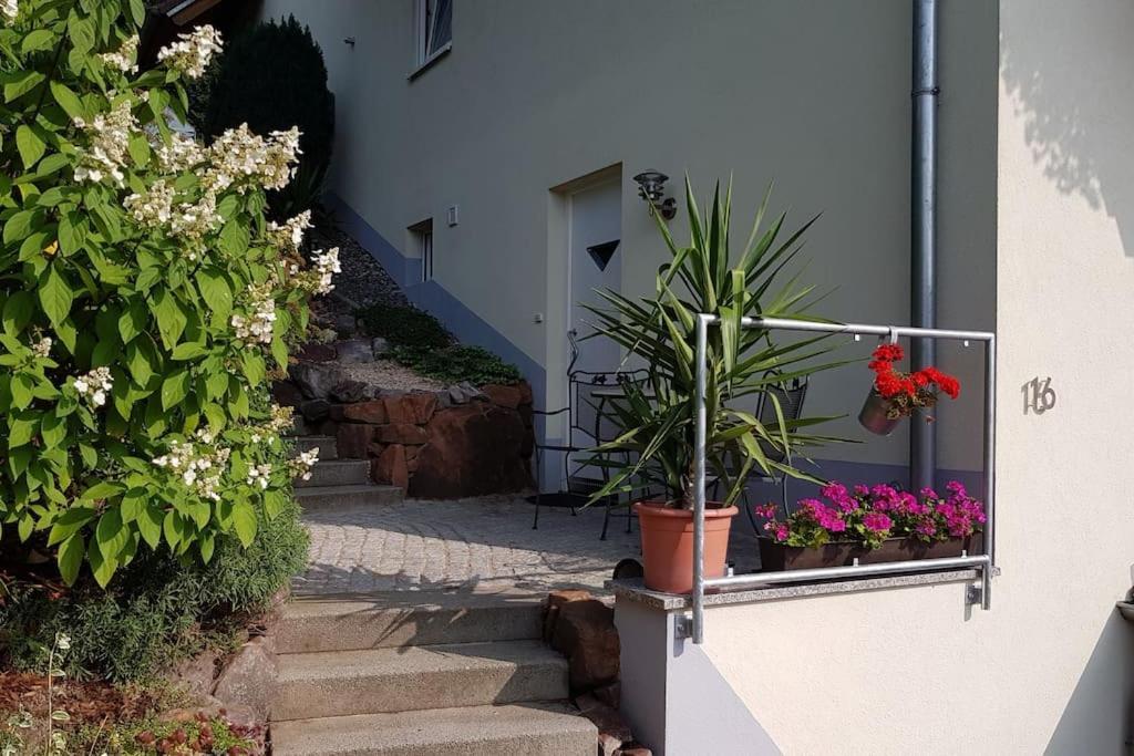 Ferienwohnung Talblick Im Schwarzwald Seelbach  Zewnętrze zdjęcie